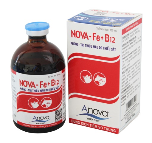 NOVA-Fe+B12