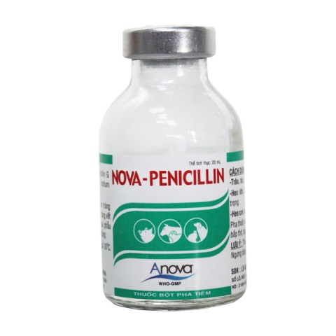 NOVA-PENICILLIN