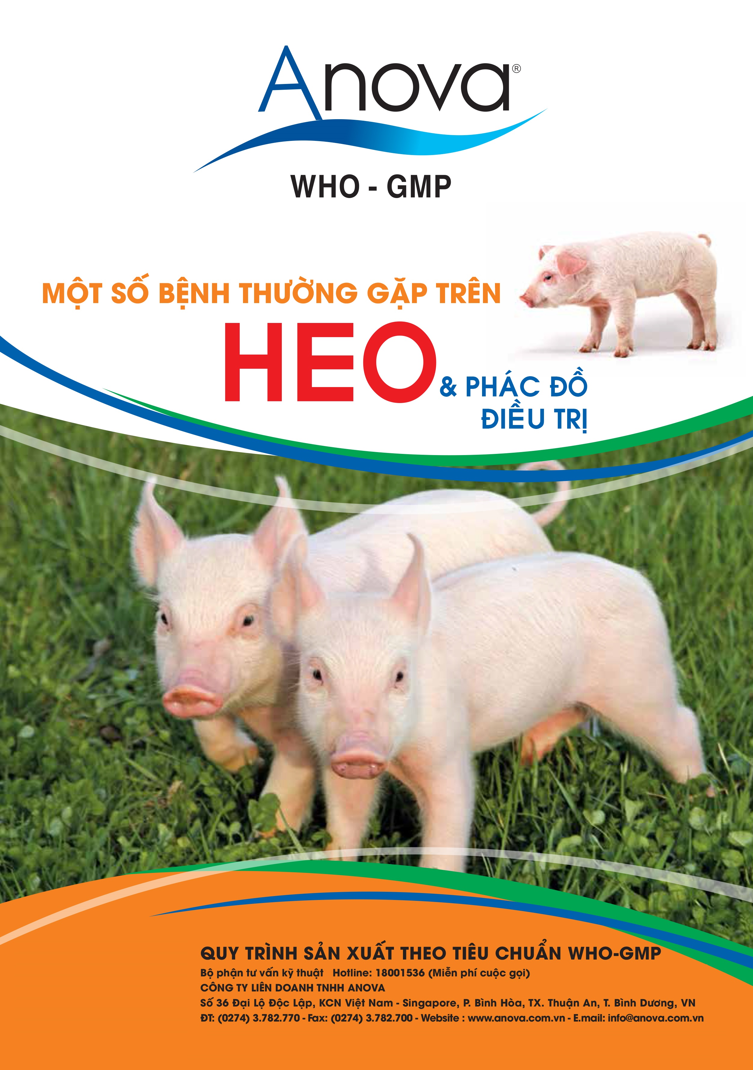 MỘT SỐ BỆNH THƯỜNG GẶP TRÊN HEO VÀ PHÁT ĐỒ ĐIỀU TRỊ