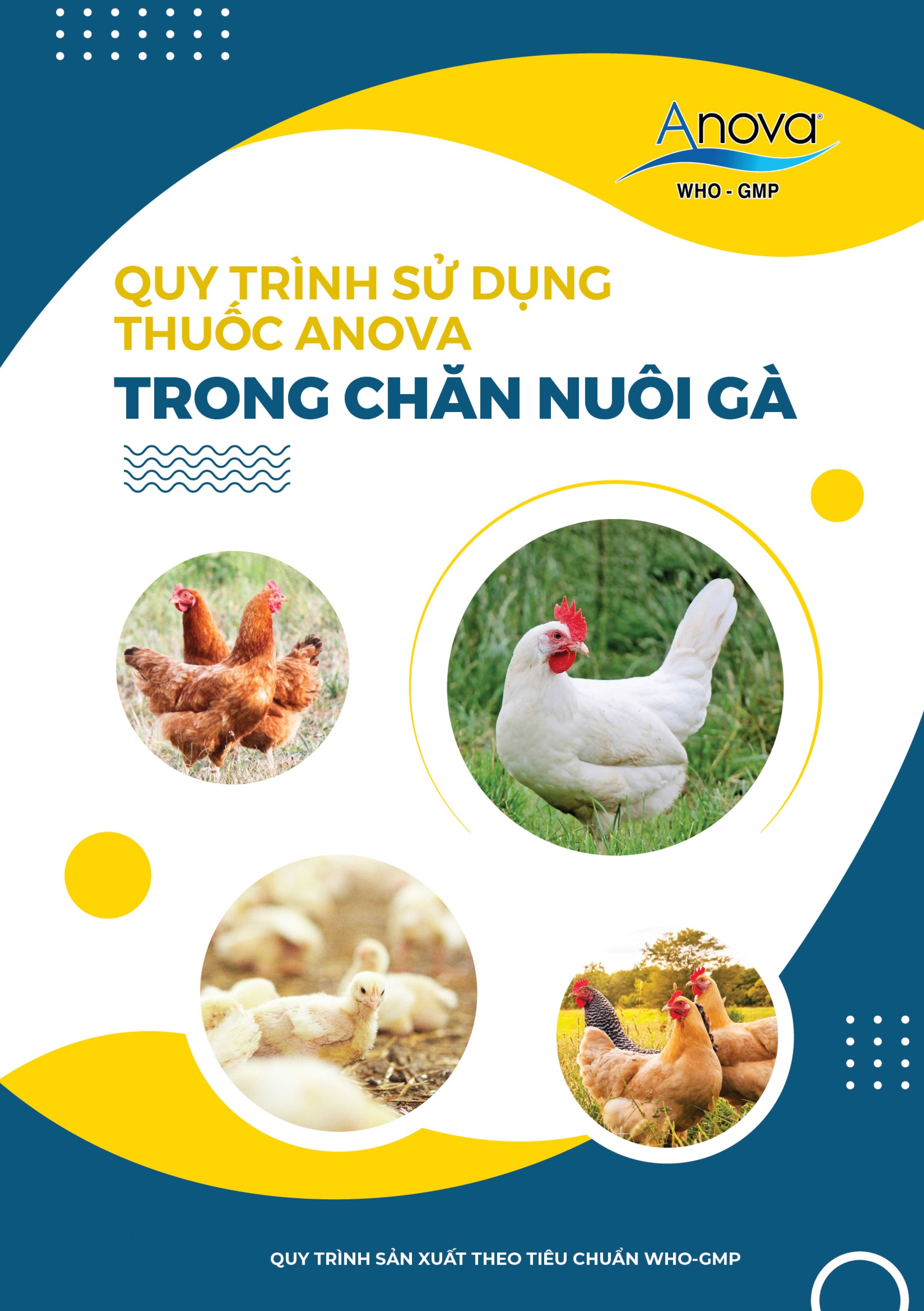 QUY TRÌNH SỬ DỤNG THUỐC ANOVA TRONG CHĂN NUÔI GÀ