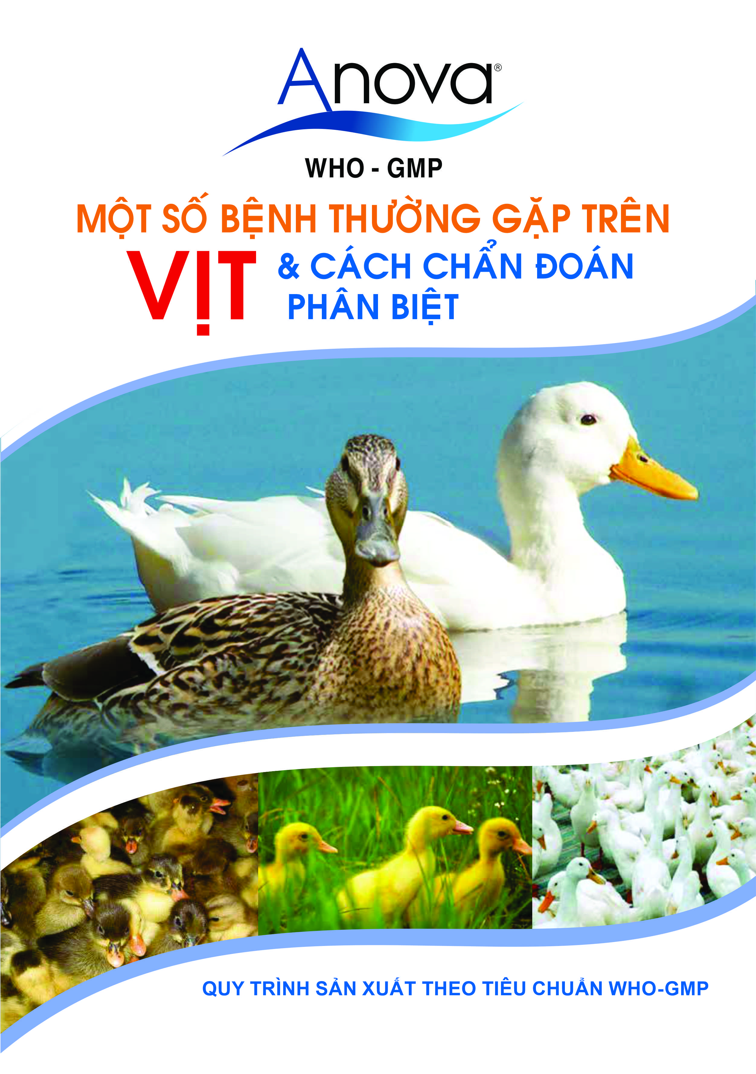 MỘT SỐ BỆNH THƯỜNG GẶP TRÊN VỊT VÀ CÁCH CHUẨN ĐOÁN PHÂN BIỆT