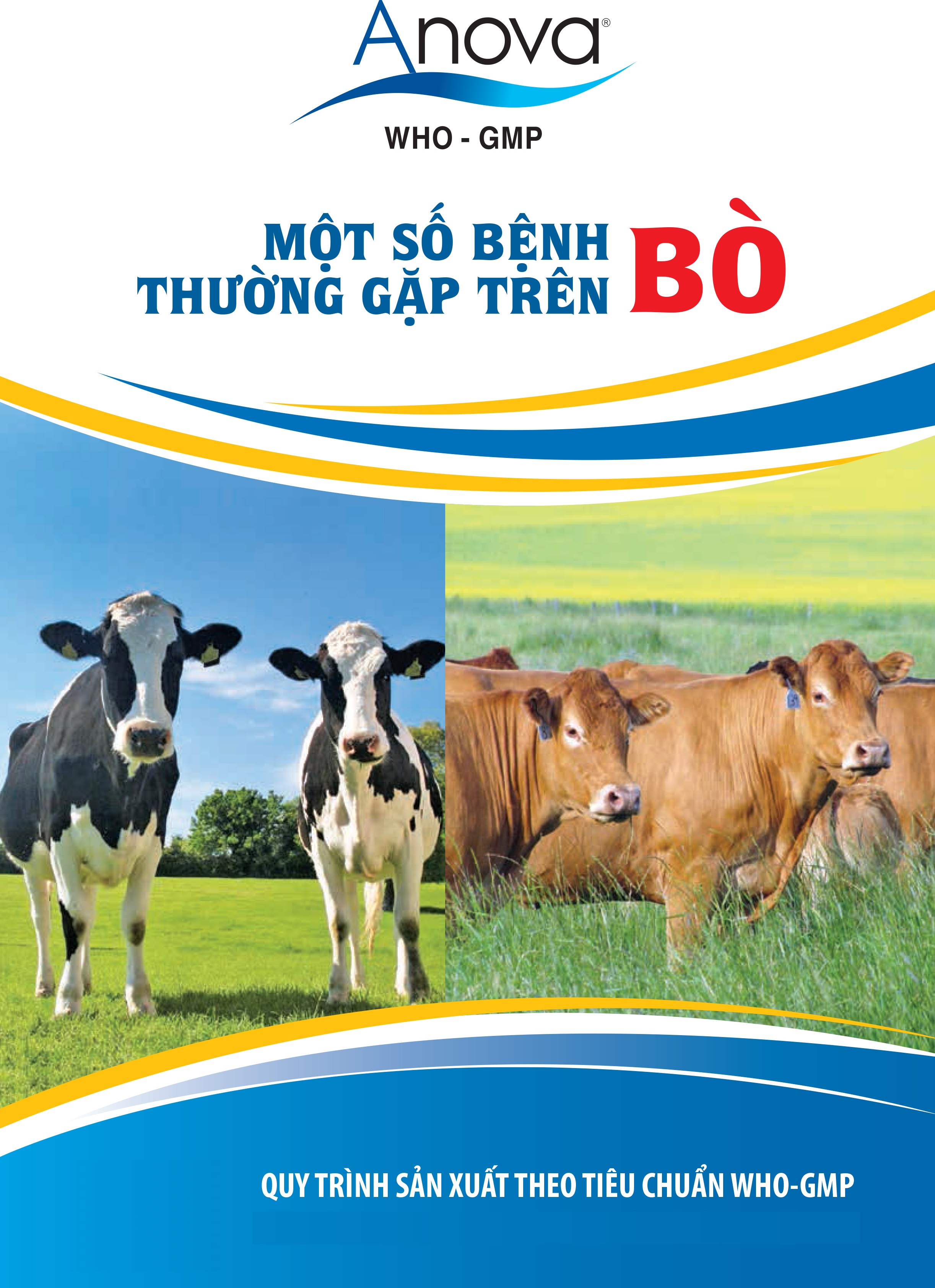 MỘT SỐ BỆNH THƯỜNG GẶP TRÊN BÒ