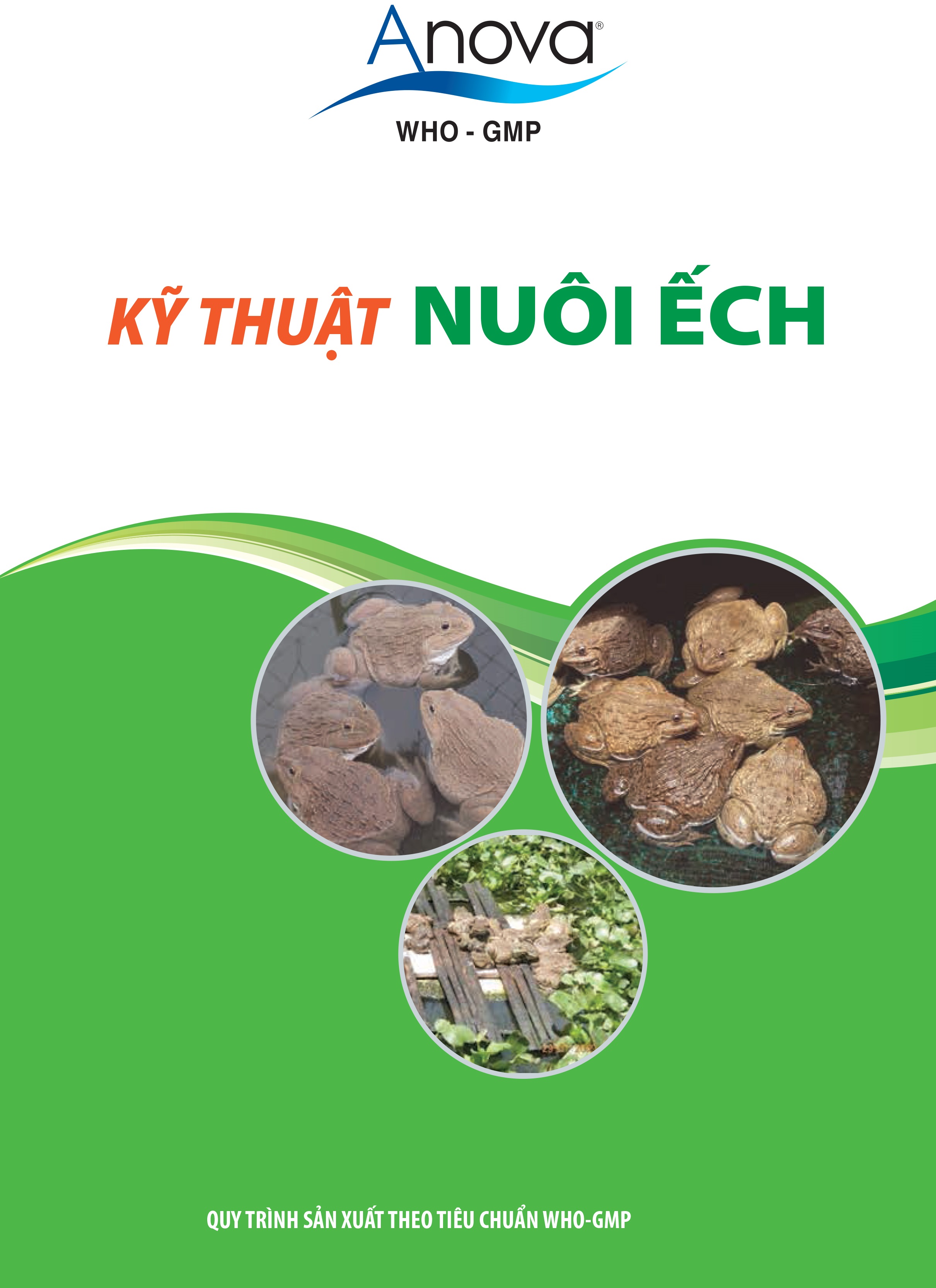 KỸ THUẬT NUÔI ẾCH