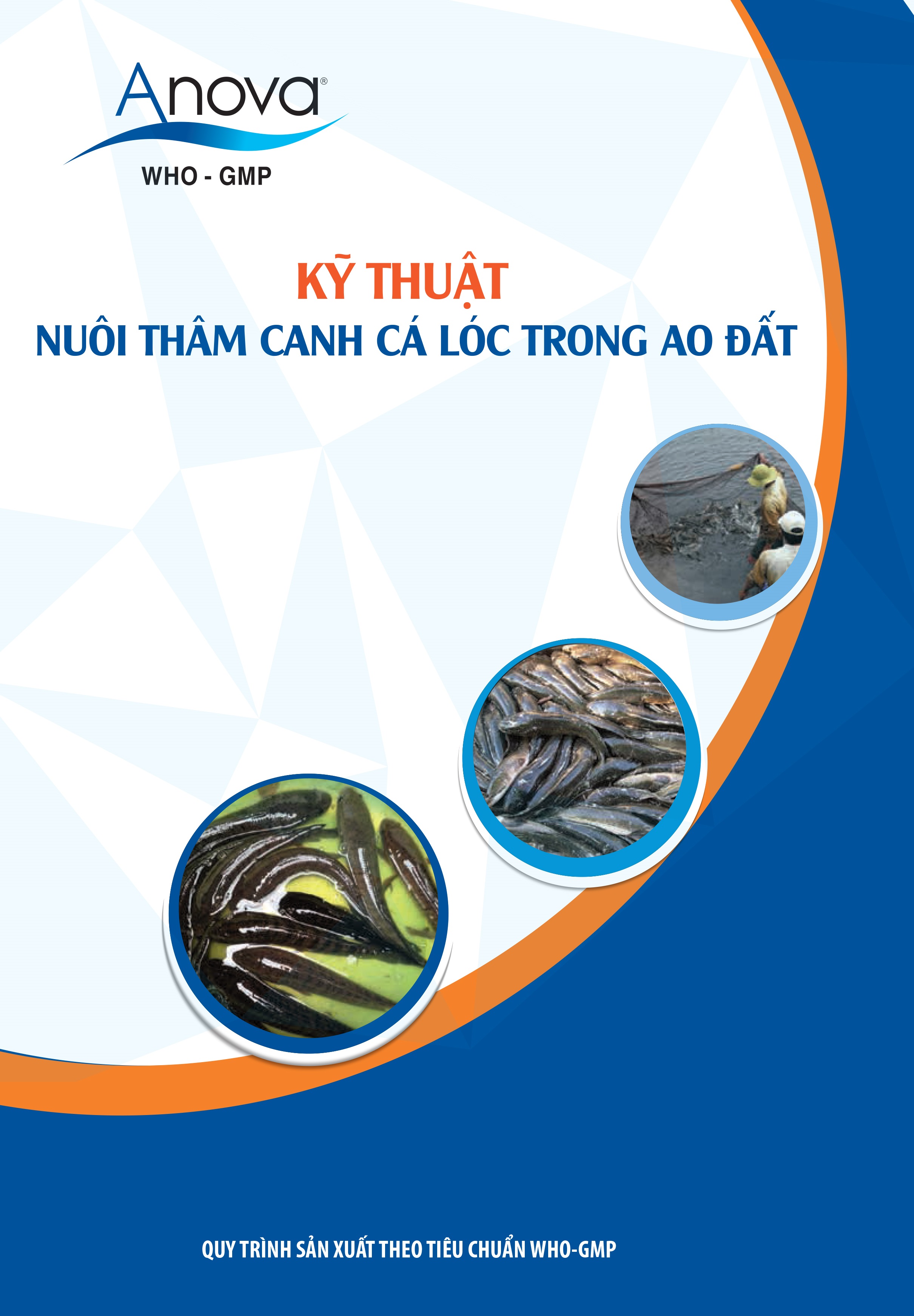 KỸ THUẬT NUÔI THÂM CANH CÁ LÓC TRONG AO ĐẤT