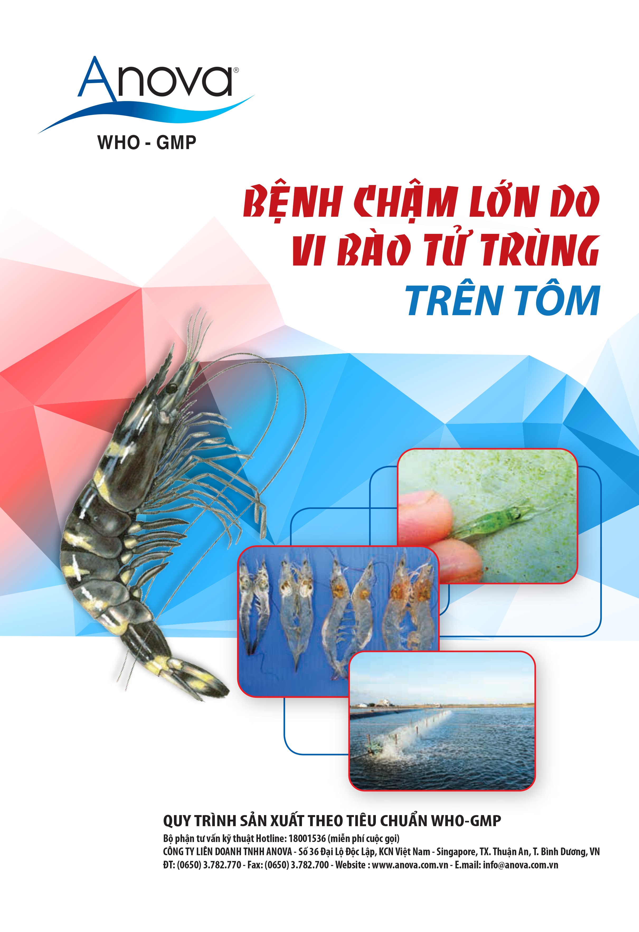 BỆNH CHẬM LỚN DO VI BÀO TỬ TRÙNG TRÊN TÔM