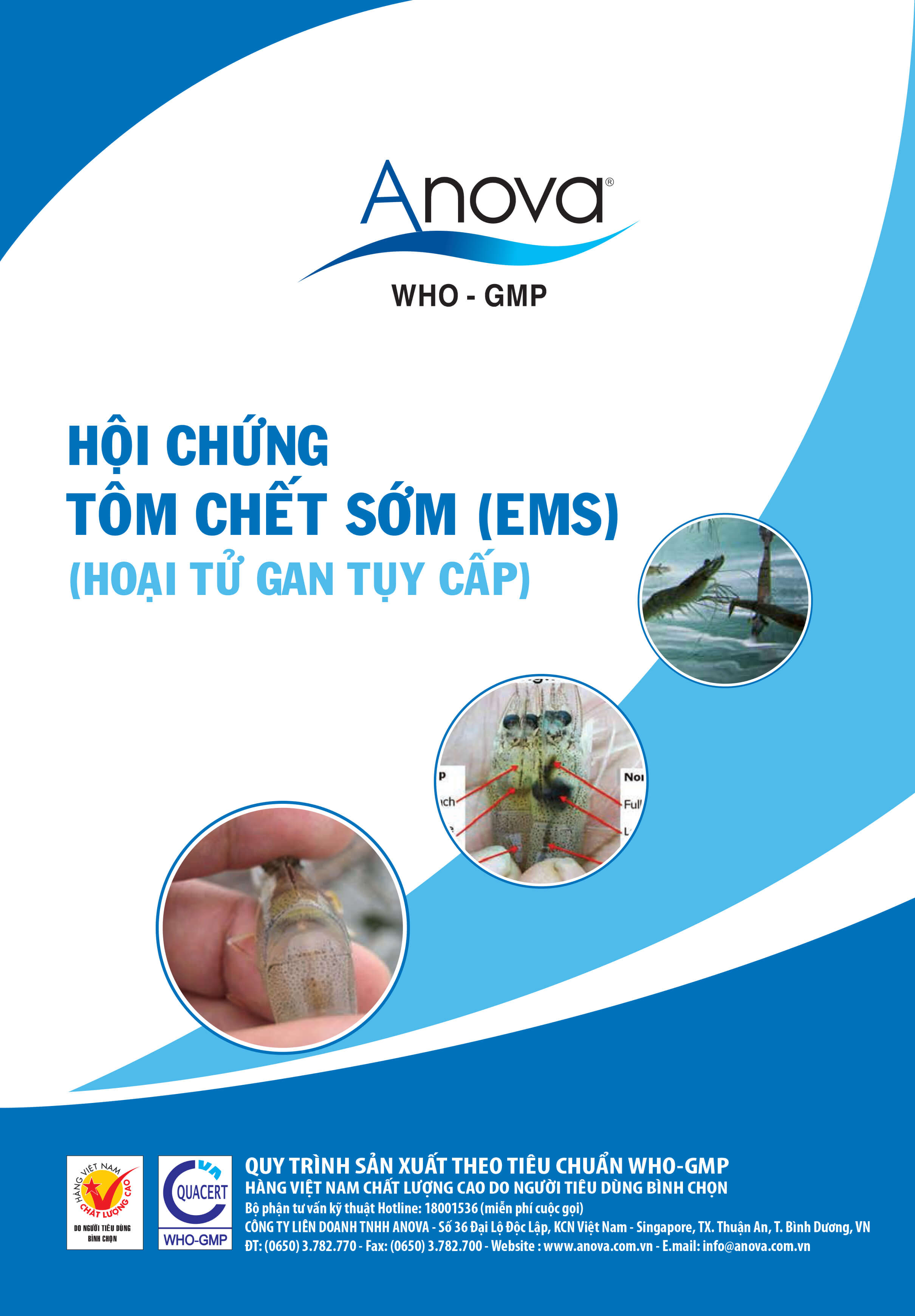 HỘI CHỨNG TÔM CHẾT SỚM (EMS) (HOẠI TỬ GAN TỤY CẤP)