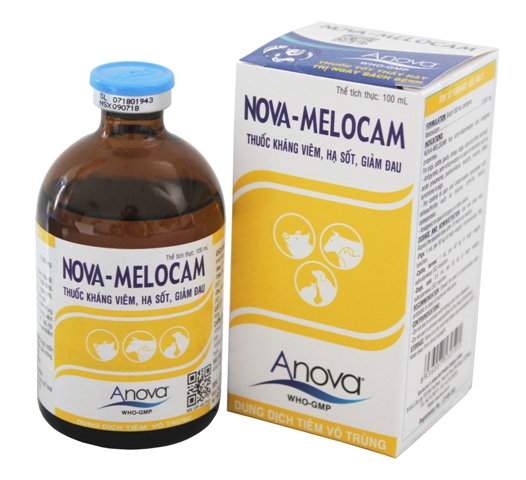 NOVA-MELOCAM