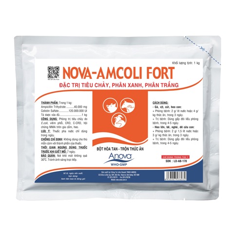 NOVA-AMCOLI FORT