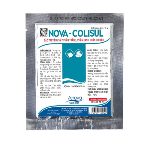 NOVA-COLISUL