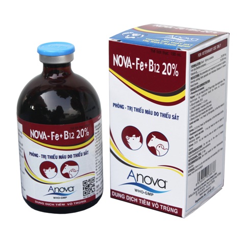 NOVA-Fe + B12 20%