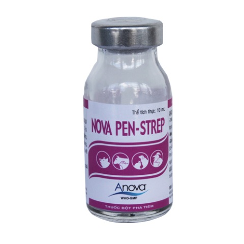 NOVA PEN-STREP