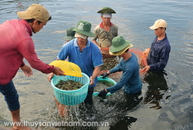 Liên kết giảm rủi ro