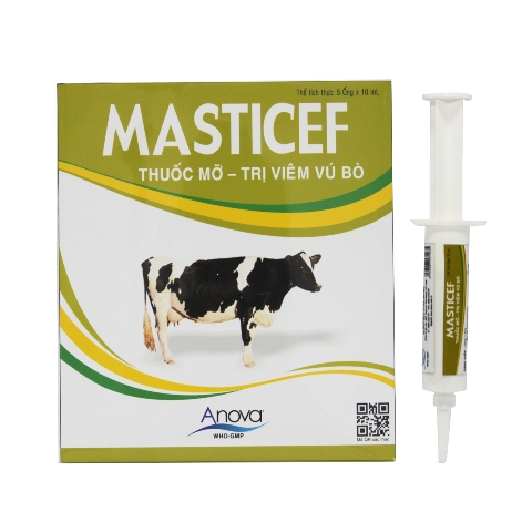 MASTICEF