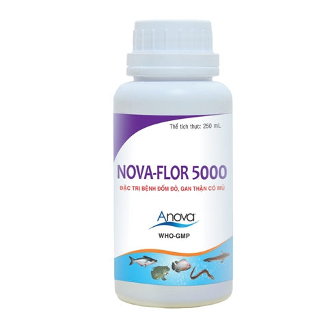 NOVA-FLOR 5000