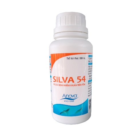 SILVA 54